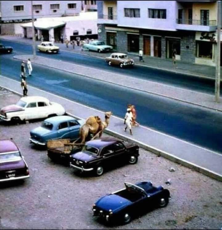 #عدن قبل 50عام 
اي قبل تتلوث بالاوبئه القادمة من باب #اليمن
 حتي البعير يحترم النظام  .👇