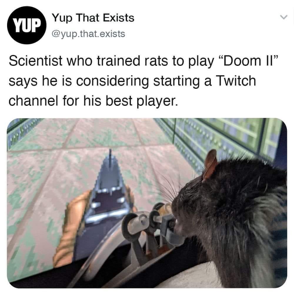 alanatedmon's tweet photo. Please do this. I would get a prime sub forever so I could watch him beat Doom in nightmare mode. #doom #rats https://t.co/4ZHqyi8uGK