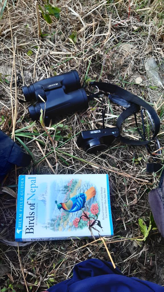 surendrathinks's tweet photo. Vacation goes like this! 
#birding #birdsofnepal #tanahun https://t.co/wjRxnijlR0