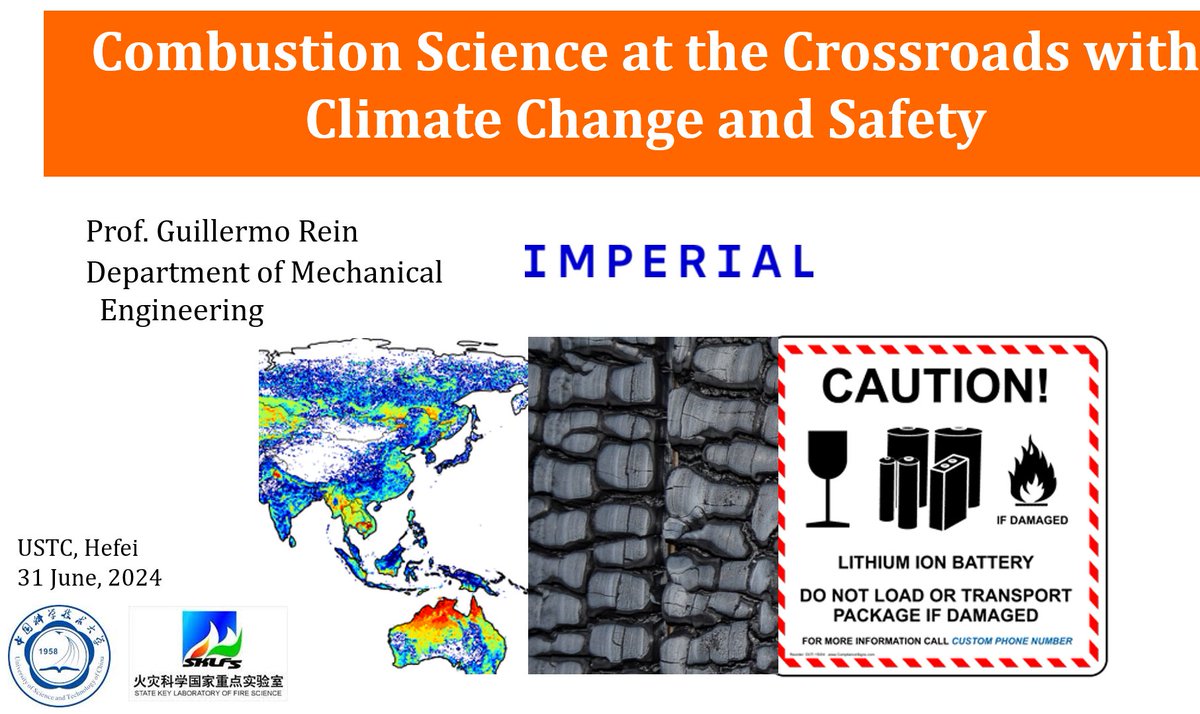 Prof Guillermo Rein. 🔥 tweet media
