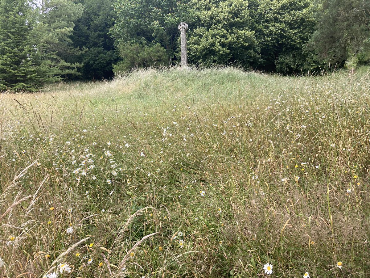 After a couple of weeks in which it seems that all the butterflies had disappeared, today it looks like there’s been an emergence of Red Admiral <a href="/NTKillerton/">Killerton</a> in the hedges. Also Marbled White doing well where grazing has been relaxed in the parkland and flowery fringes <a href="/BCDevon/">BC Devon Branch</a>