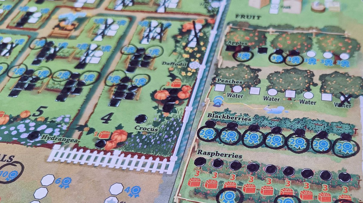 Sir Thecos tweet media