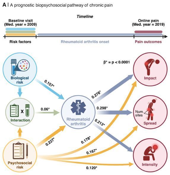 🧐 How can biomarkers predict chronic pain?

🧬 A (preprint) study of over 523,000 participants reveals that biomarkers from blood, brain, and bone along with psychosocial factors can predict chronic pain conditions.

🔗 buff.ly/3VvudsA

#ChronicPain