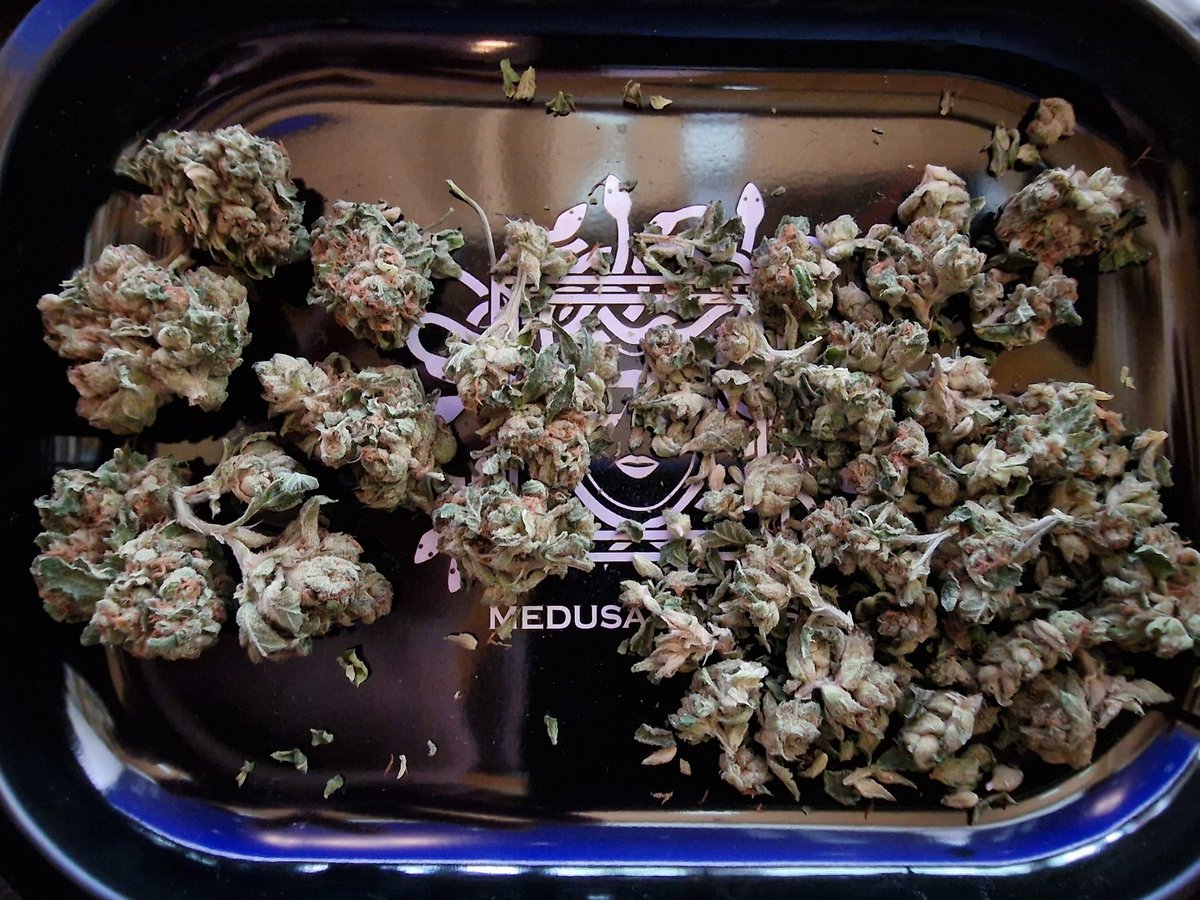 Radacresch tweet media