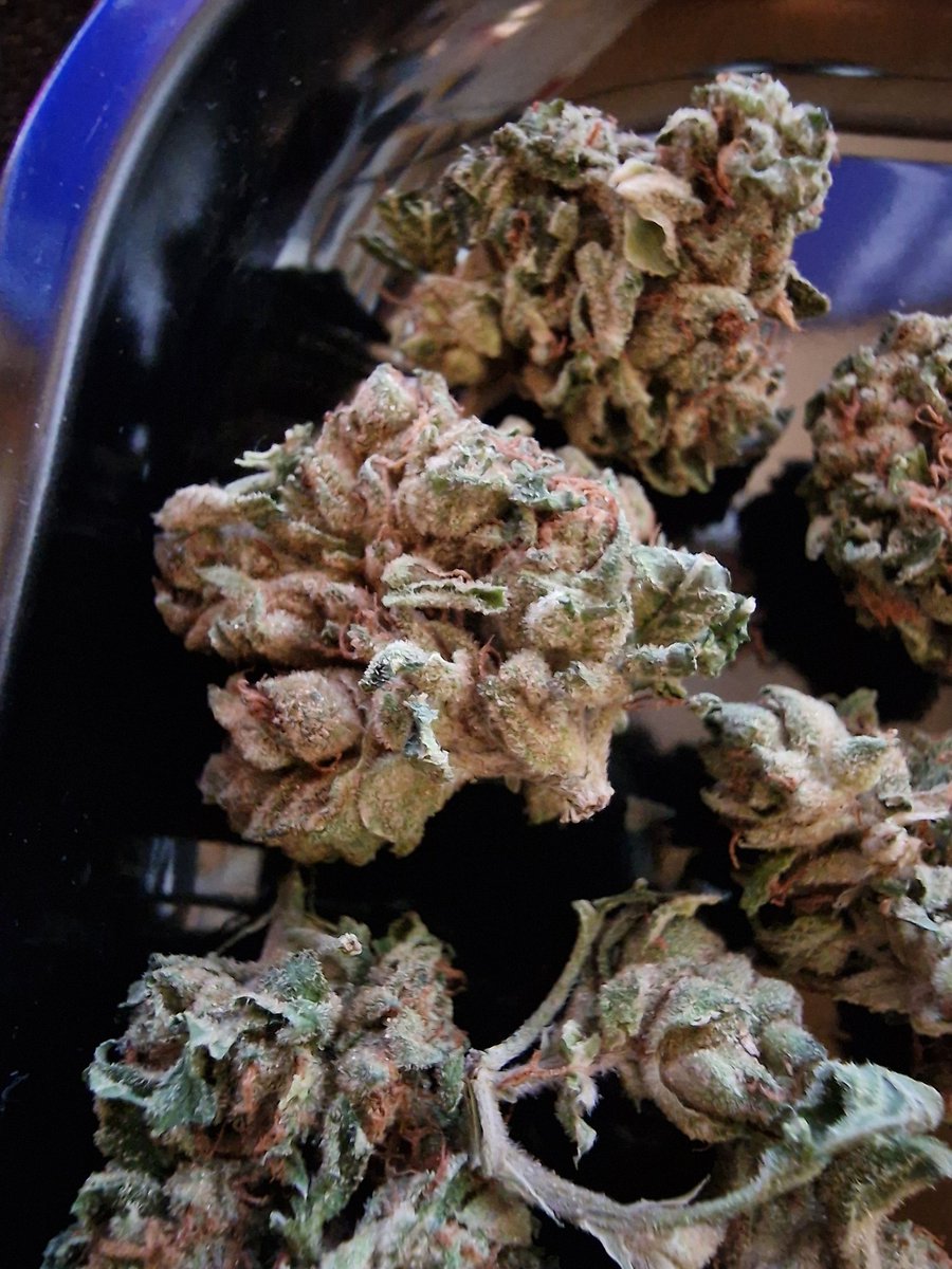 Radacresch tweet media