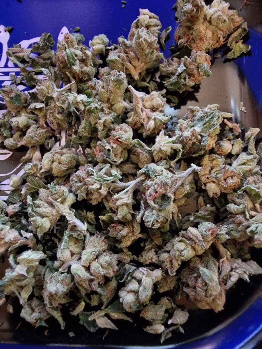 Radacresch tweet media