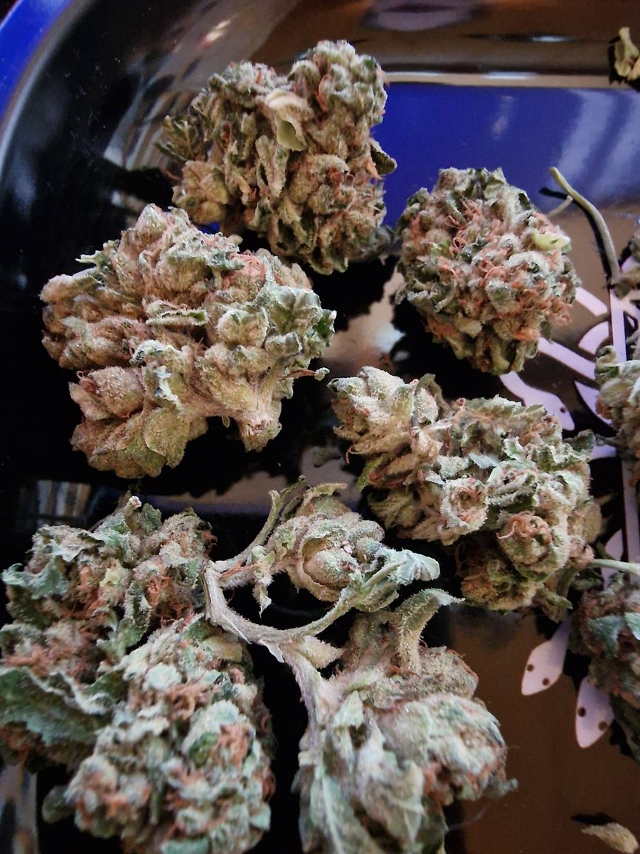 Radacresch tweet media