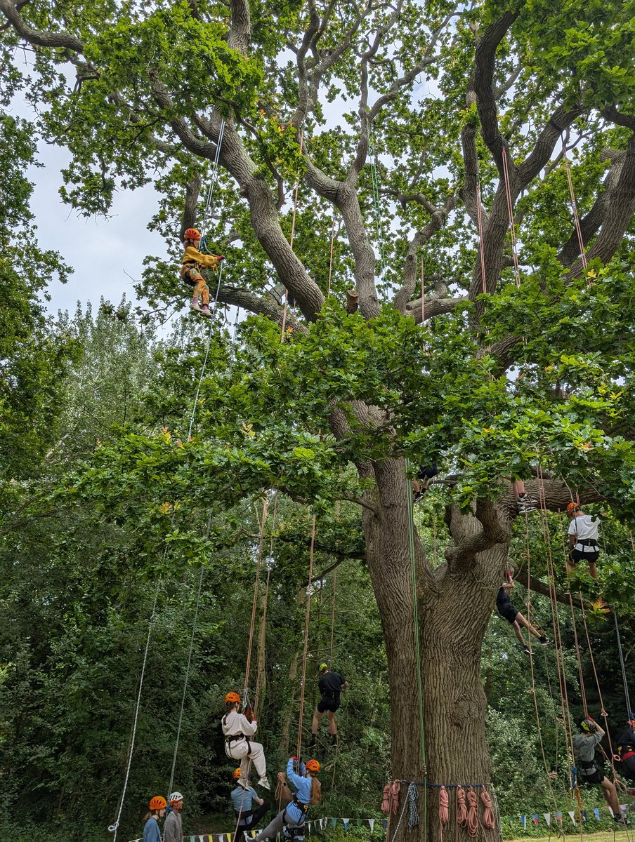 WokingHighMusic tweet media