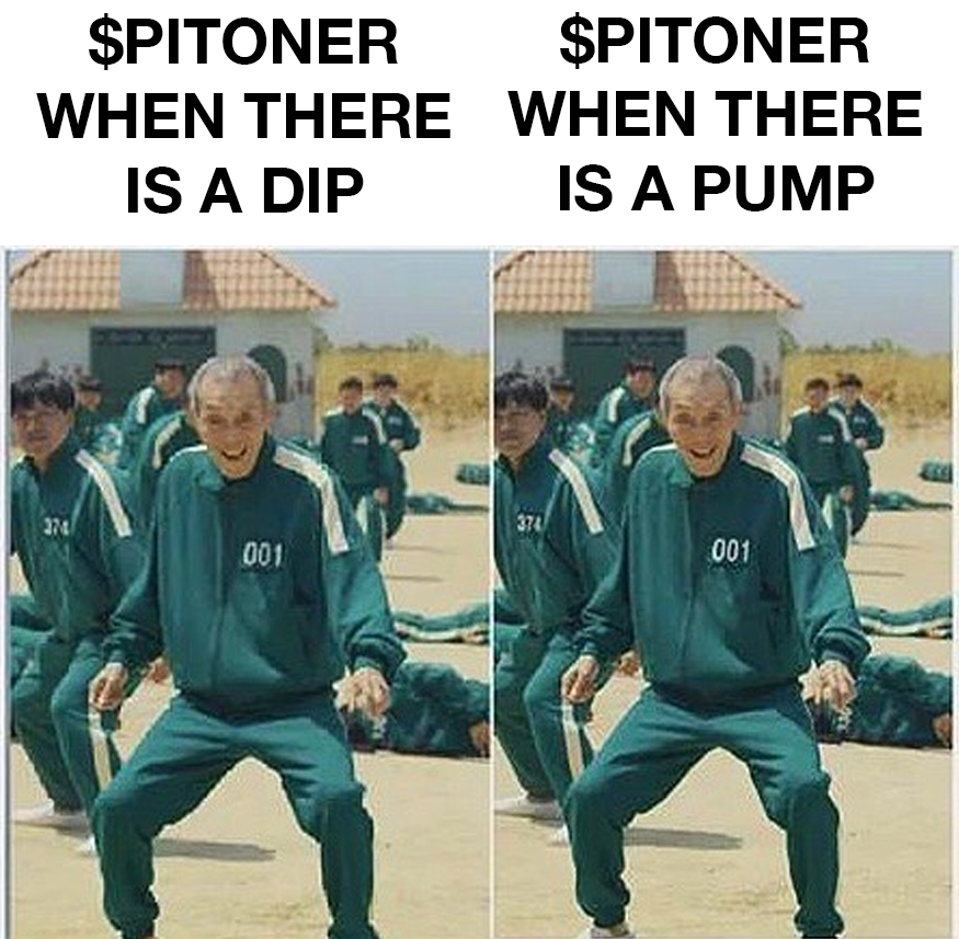 PITON π💎 tweet media