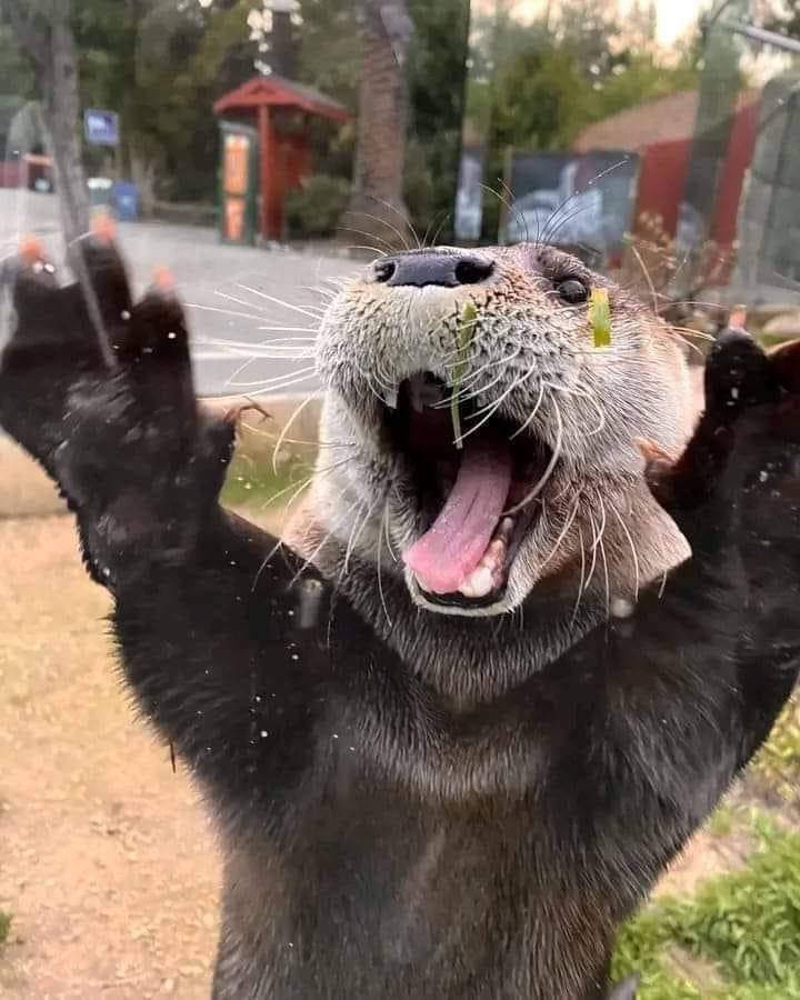 Jo Adams tweet media