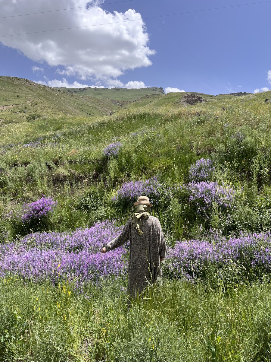 . (@esraydeniz_) on Twitter photo 