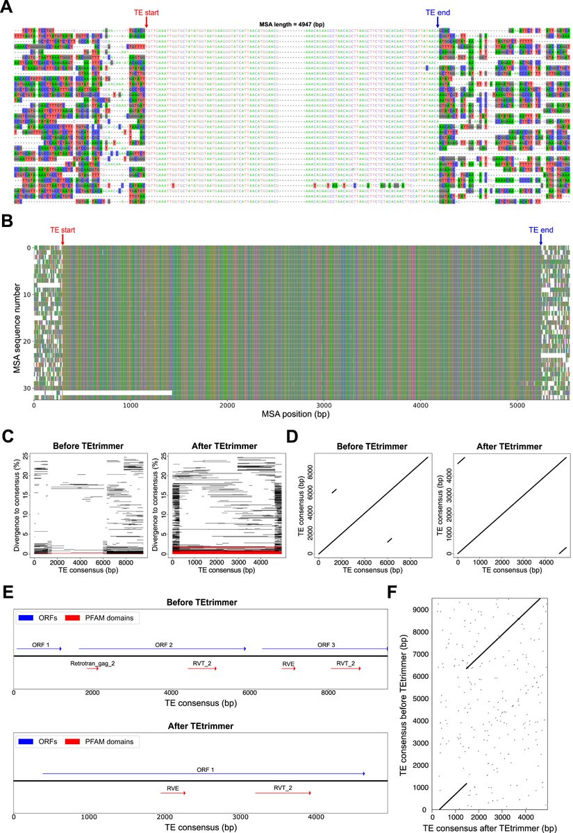 Exciting news! Our TEtrimmer preprint is now available. Check it out here: doi.org/10.1101/2024.0…
For each output TE sequence, you get a report plot like this! 
Explore more about TEtrimmer on our GitHub: github.com/qjiangzhao/TEt…