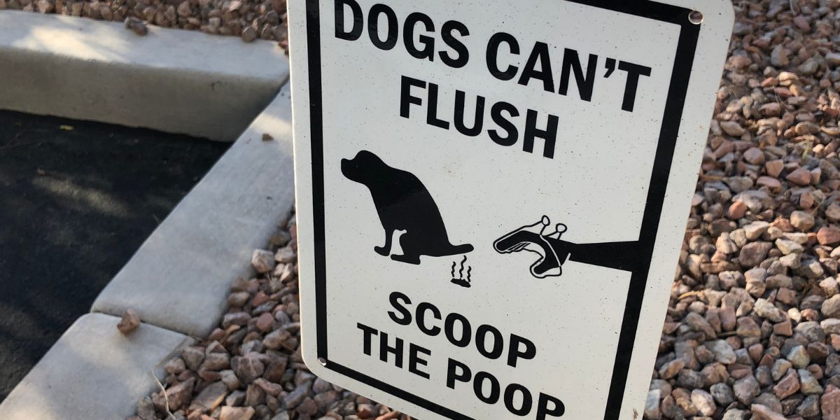 SloanKinney's tweet photo. A Guide to Managing Dog Poop https://t.co/hTX5E0Iuvv https://t.co/zsi2CLfyge