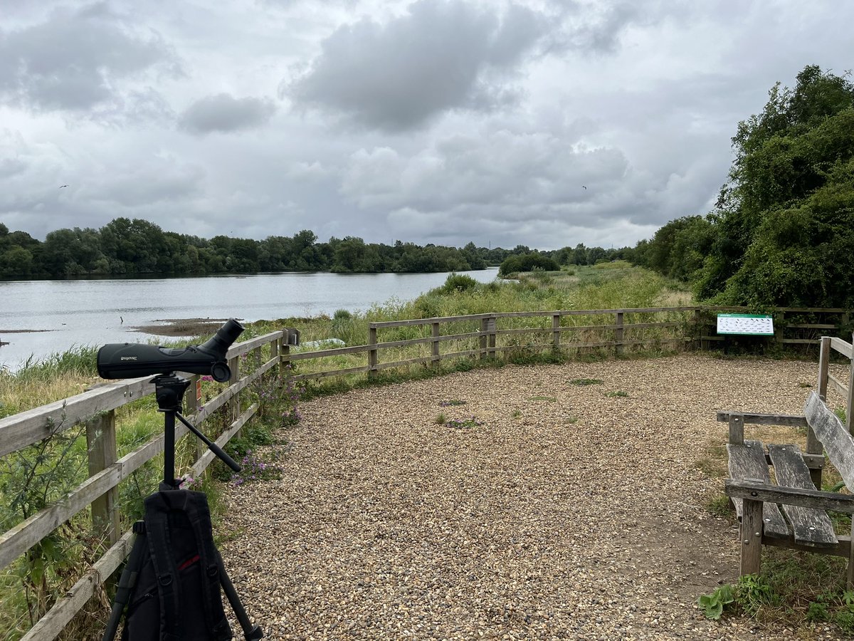 Murray Orchard tweet media