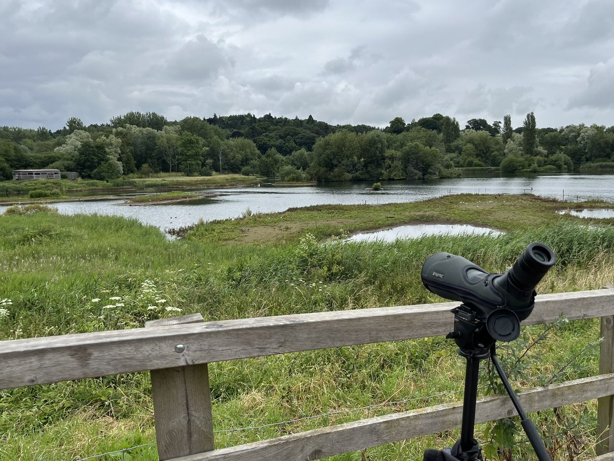 Murray Orchard tweet media