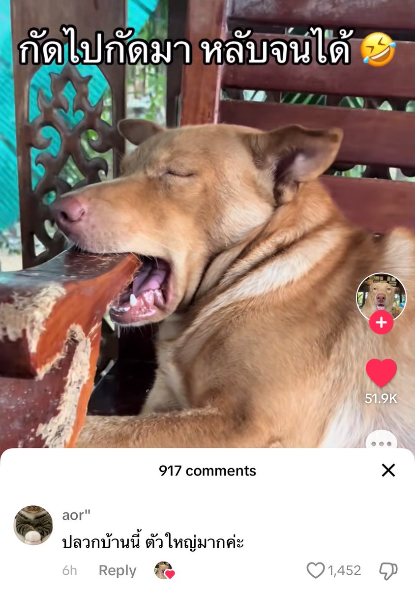 แย่มาก 5555555555555555555