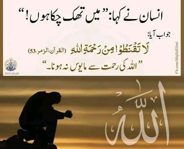 Kiran Fatima 👑 tweet media