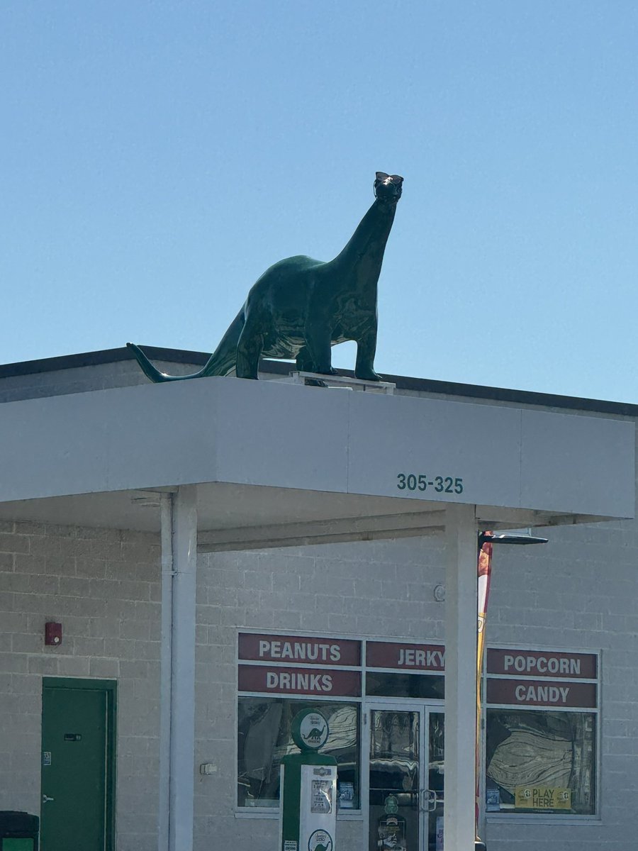 Back in Wildwood! ❤️😎