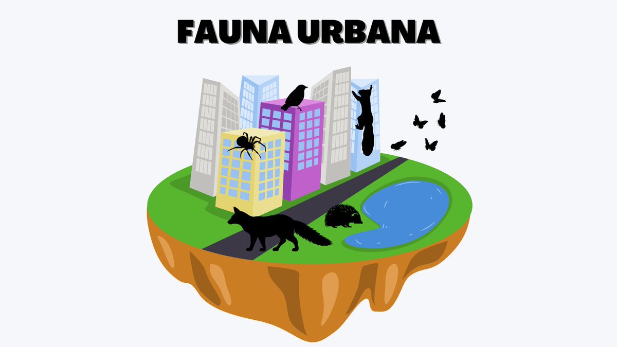 urbio_project's tweet photo. Oggi scopriamo la biodiversità animale delle nostre città! 🦊🦎🦇🐞🦔
Vuoi aiutarci a monitorare la fauna urbana?
⏩https://t.co/fnmgVvwvp4

#UrBio #urbanbiodiversity #urbanecology #citizenscience #nature #science #animals #birds #mammal #invertebrates #bats https://t.co/78zdGJBpZa