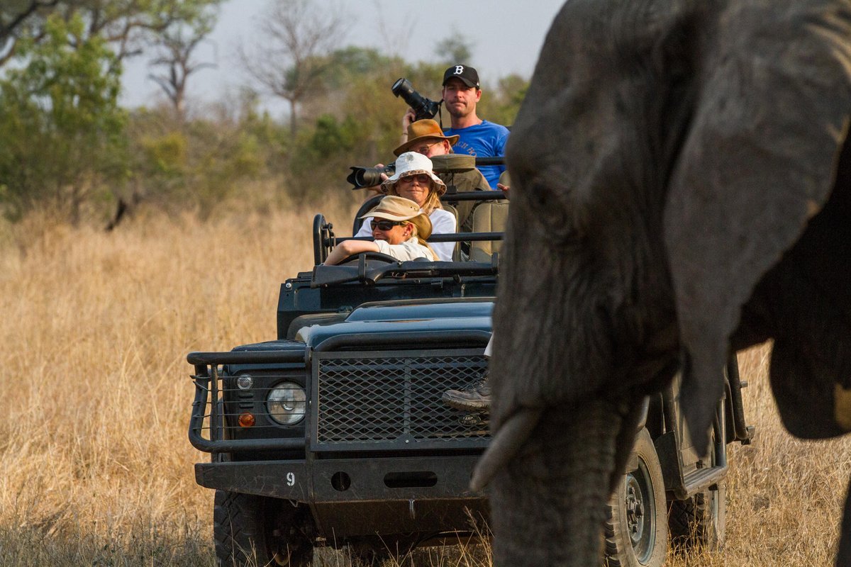 Vayenitravel's tweet photo. Up close and personal with the gentle giants! ๐ A candid moment during a #photographicsafari adventure. #londoloziprivatereserve
๐ธ @londolozi
#Vayenitravel #dmc #1dmc #WeShareAfrica #luxurytravel #thelondolozieffect #relais #relaischateaux #africa #southafrica #travelwithus https://t.co/YKbmfQyd5A