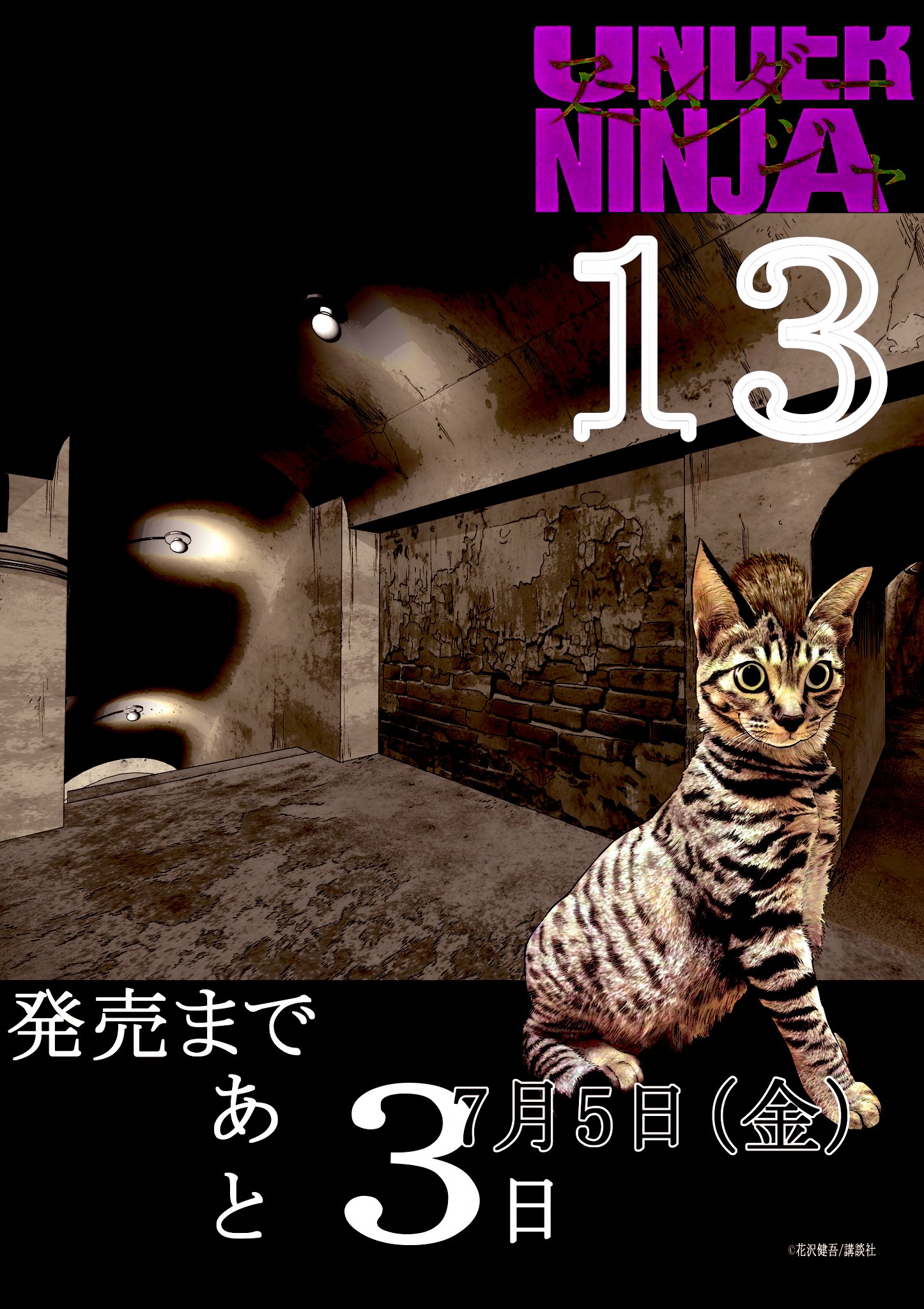 アンダーニンジャ/ UNDER NINJA【公式】 on X: 