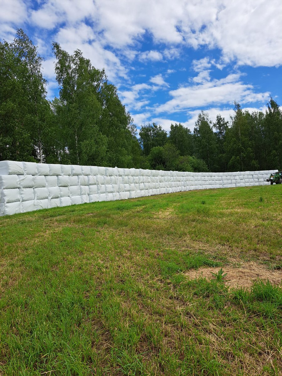 Tilanhoitaja laittoi kuvan "pomo rakensin muurin" 🤩