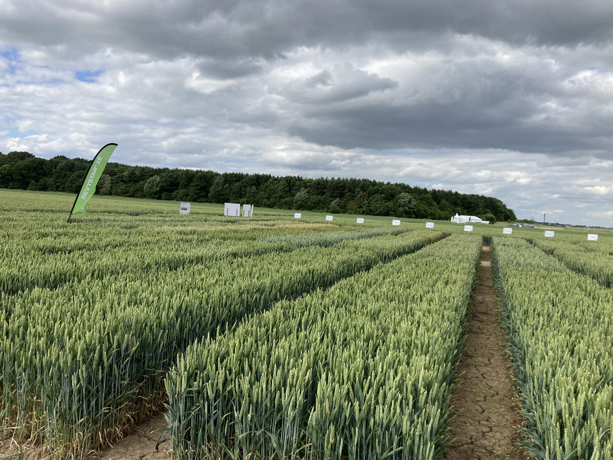 Trial plots all set for tomorrow's #RealResultsLive demo day at Rawcliffe Bridge 😍

🕒 09:00 - 16:00
📍 crouches.cigar.elephant