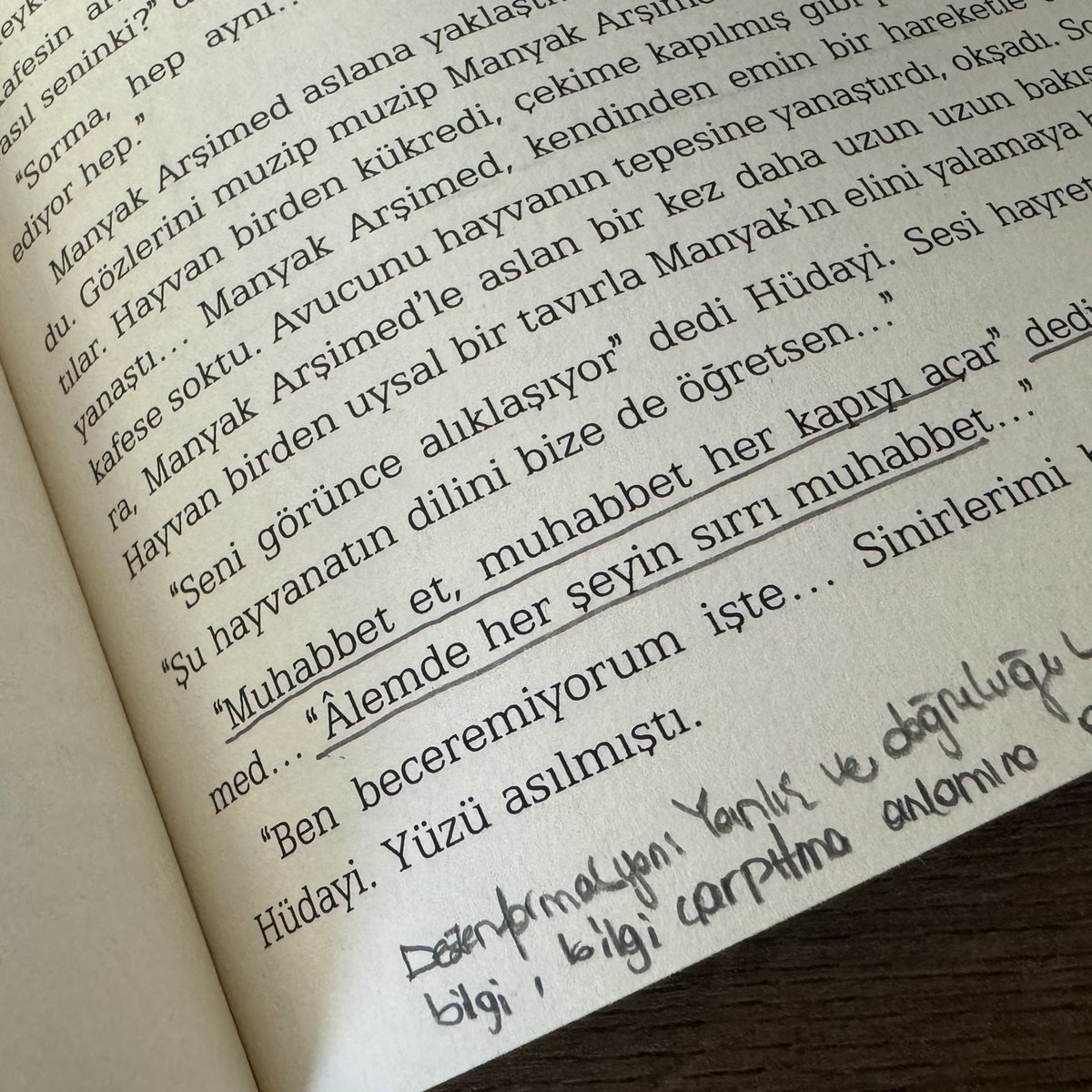 "Âlemde her şeyin sırrı muhabbet..."

#ayşeşasa
