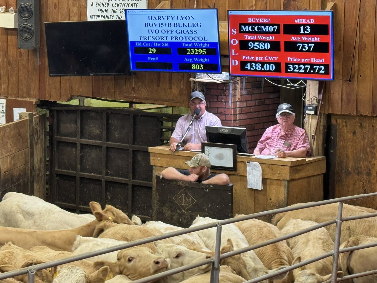 Ken Schaus 🇨🇦 tweet media