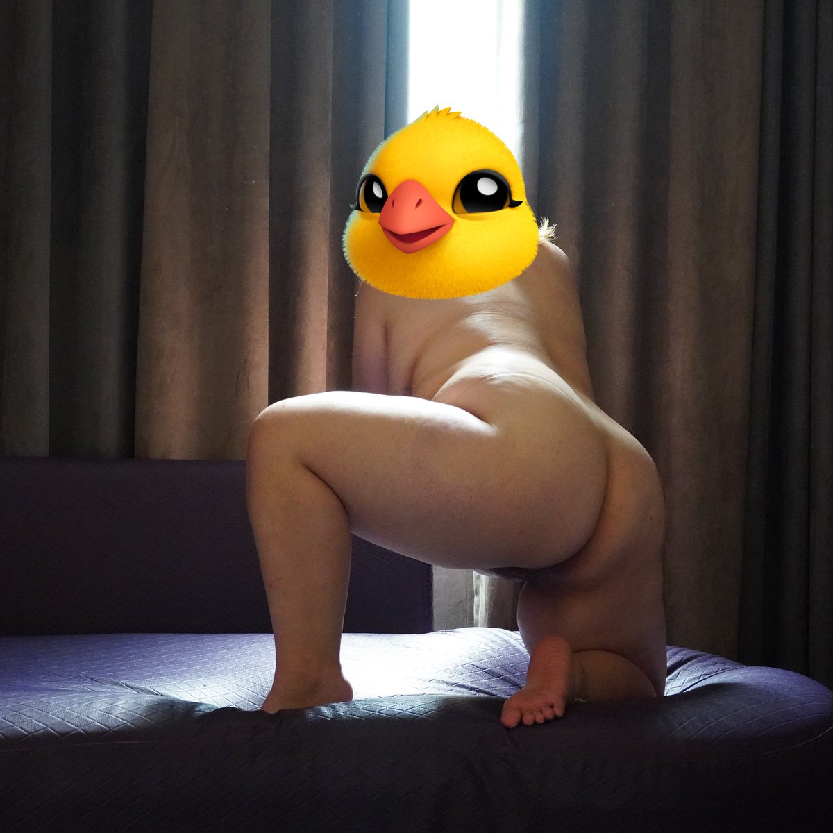 肉嘟嘟公主 tweet media