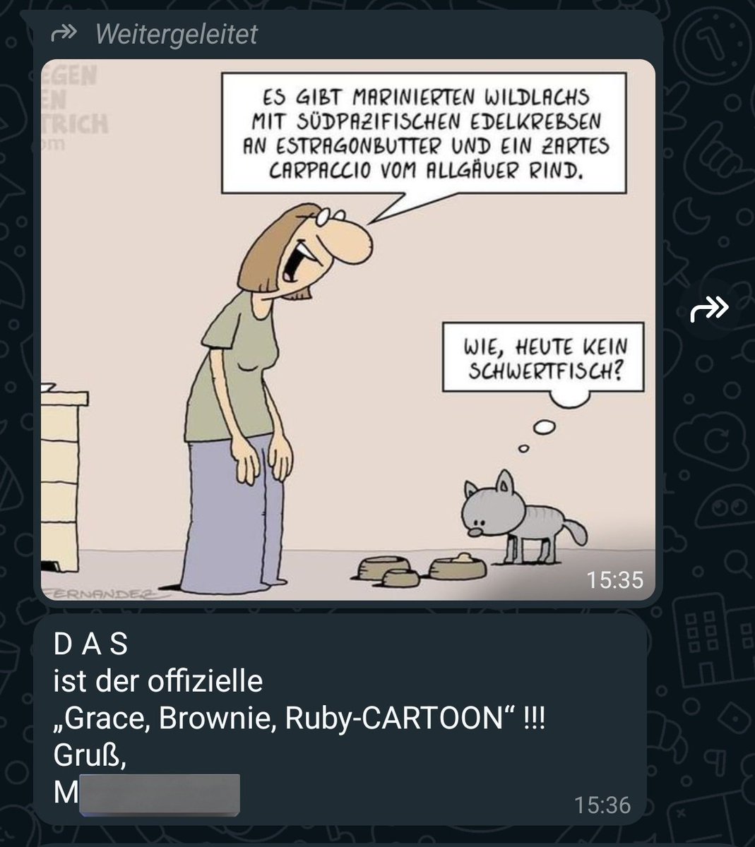 Benni 🦊 tweet media