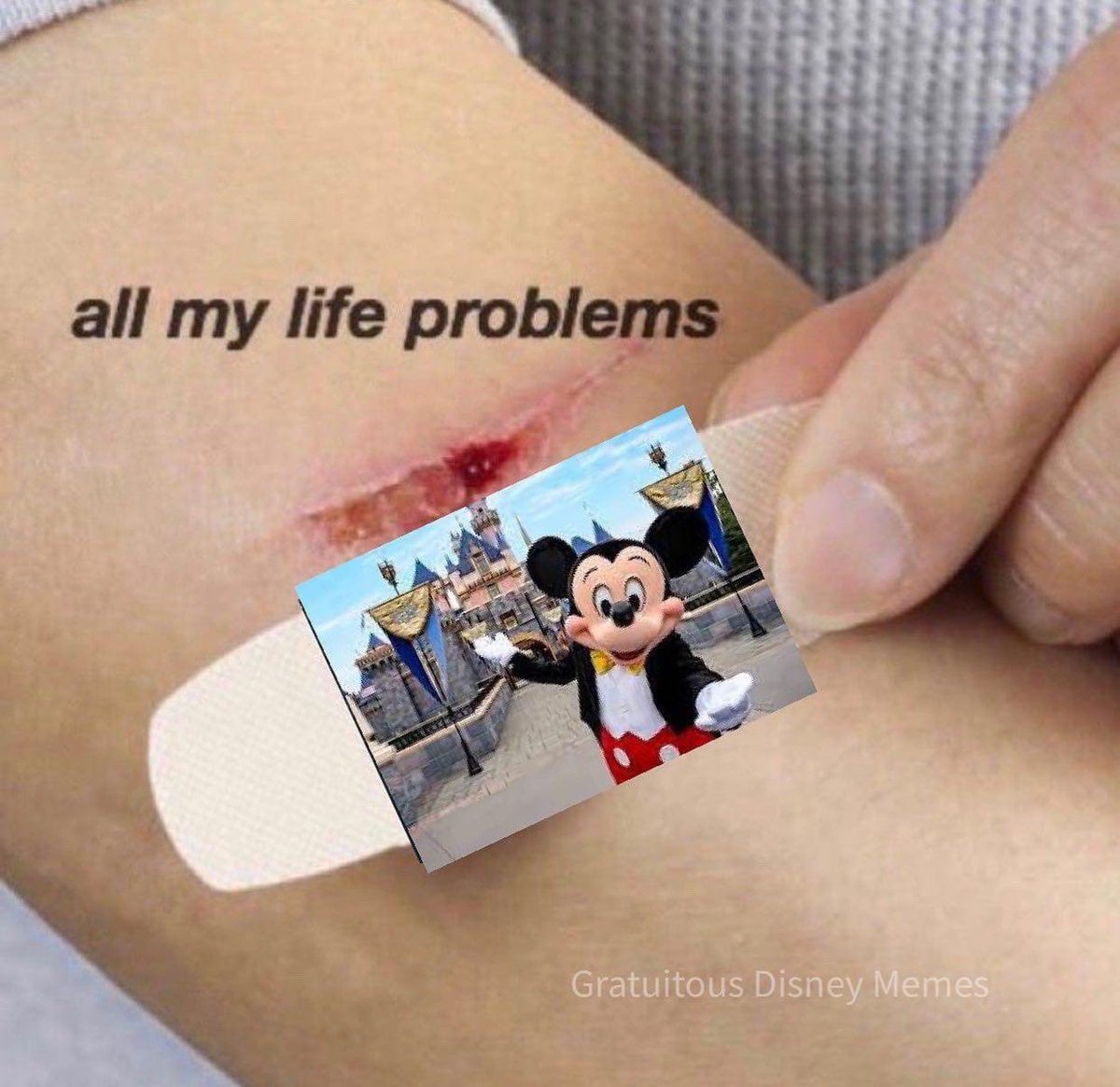 GratThemeParks's tweet photo. https://t.co/UPwTLccRTQ