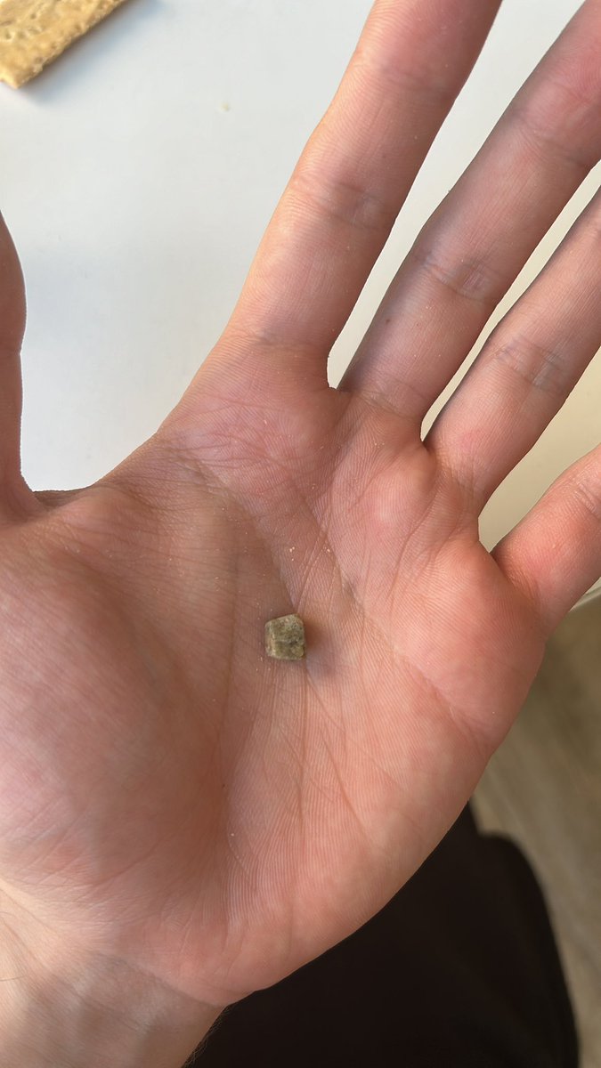 nonoSantaCruz's tweet photo. @DIA_Esp me pueden explicar cómo puede haber una piedra de este tamaño en el salteado de setas? https://t.co/C1dN7MZ6SG