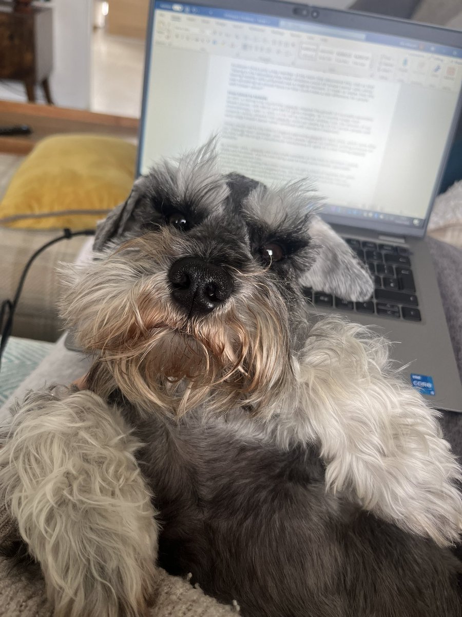 Dr Amy Shergold (she/her) tweet media