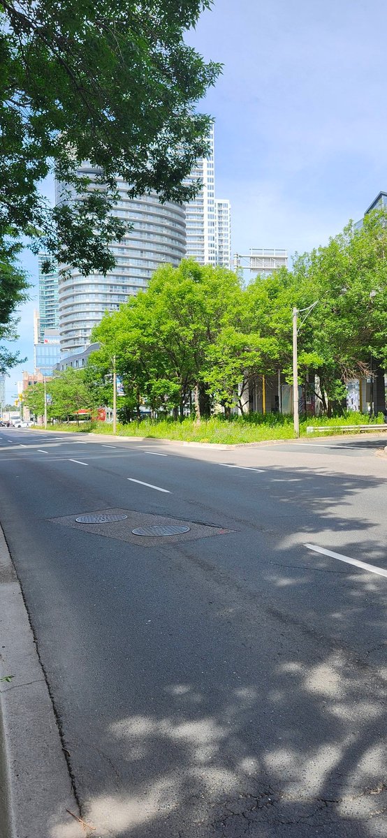 YYZdesign's tweet photo. @311Toronto Could you please send out the roads / maintenance / mowing crew to trim this median between east and westbound Lake Shore, east of Dan Leckie? Drivers cannot see eastbound traffic from this turnaround,so entering blindly. Happens every year. 🙃 TYIA https://t.co/OwOXwvsJzs