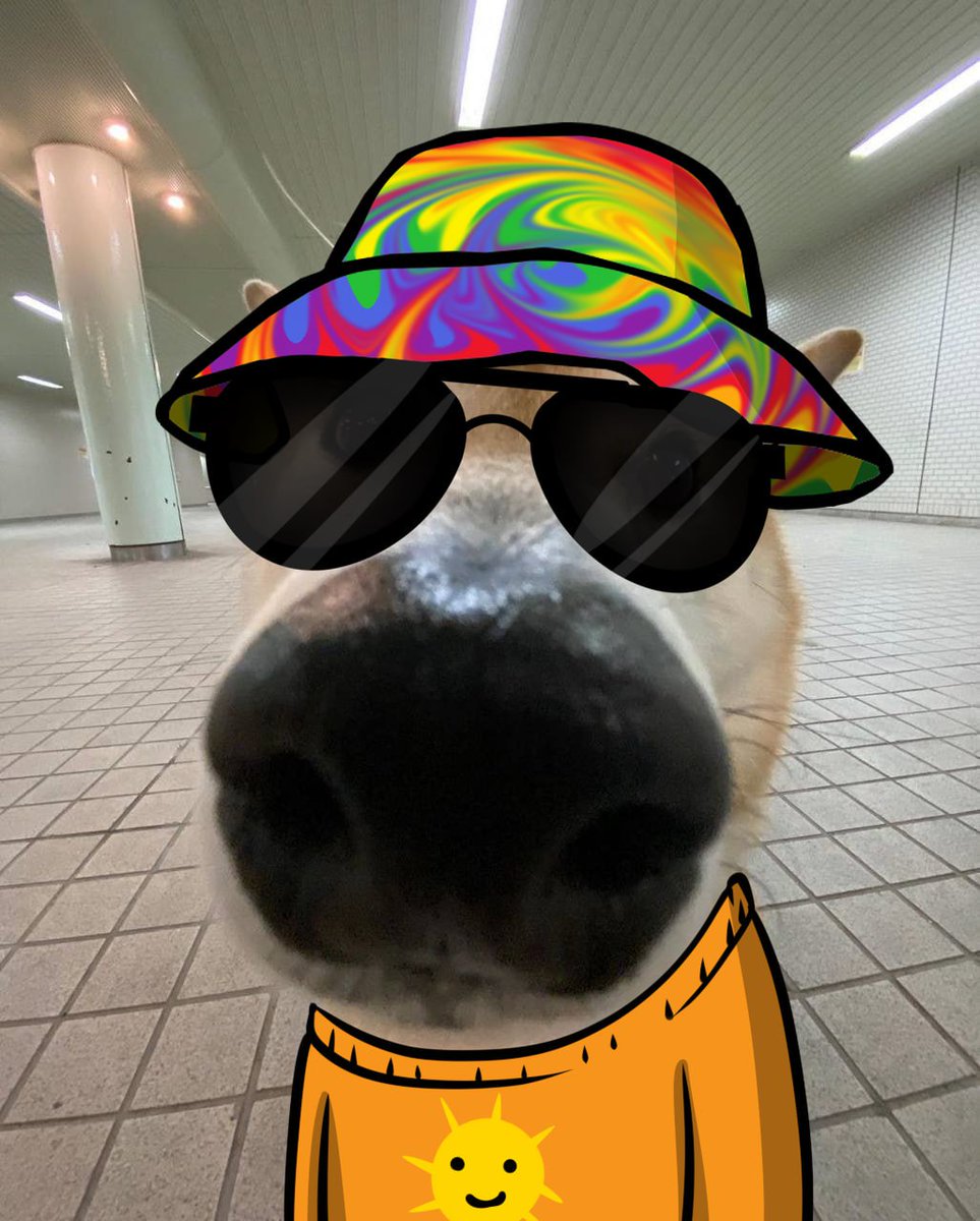 Chillz_Sol's tweet photo. @Kuribo_Dog 

9iPoLqwGKAgTKi9kxexcSRB5uD6zHR8kjozcGEhsh1qJ https://t.co/GHS2GarZPl