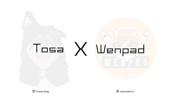 Tosa Inu 土佐犬 tweet media