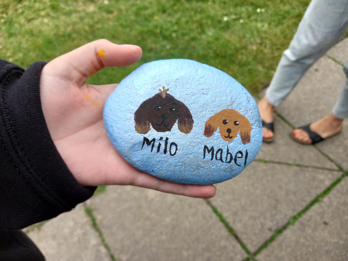 ChesApa's tweet photo. We've had a fantastic time doing our enrichment activities today @swlakes Our land based activities included pebble painting - students' pets were a popular choice! https://t.co/q4u8RguRZL