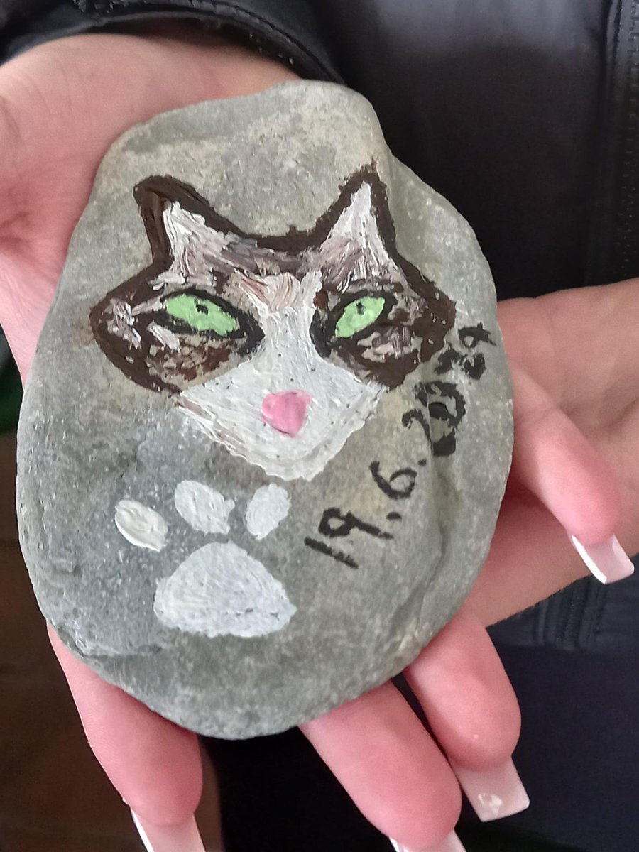 ChesApa's tweet photo. We've had a fantastic time doing our enrichment activities today @swlakes Our land based activities included pebble painting - students' pets were a popular choice! https://t.co/q4u8RguRZL