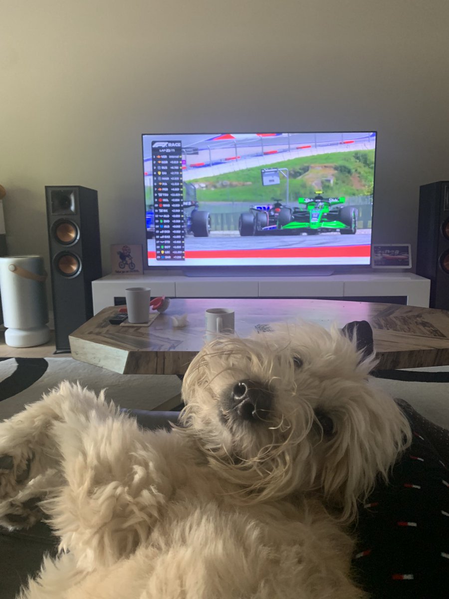 1m_chart's tweet photo. I told my son he had to pay rent starting July 1st, he said no and went back to sleep.
#wheatenterrier #wheatensoftwitter https://t.co/evqpYWZ8q3