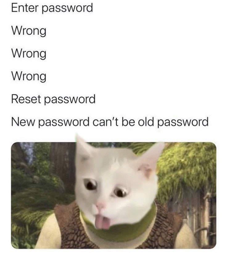 Peachie 🍑 tweet media