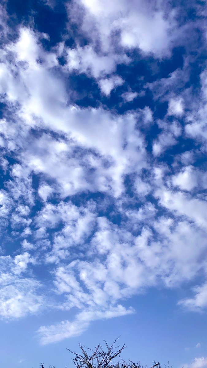 مساء الخير ☁️💗.