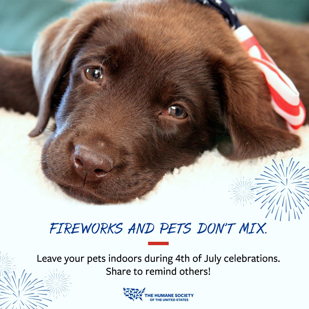 Humane_Pro's tweet photo. With the #JulyFourth holiday quickly approaching, please share this important reminder. Learn more #tips and #tricks for keeping both pets and wildlife safe at https://t.co/g127KdxB2i. https://t.co/eoAfLzXEcV