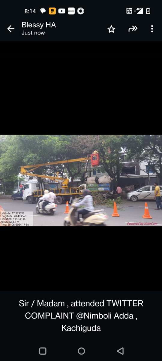 AmberpetUbd tweet media