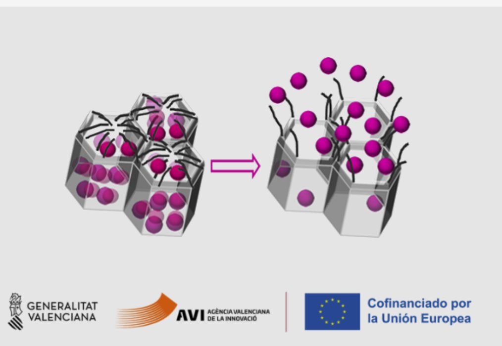 M Jose López Tendero (@lopeztender) on Twitter photo El proyecto BIOFUNGATE con fondos #RetoIvaceInnova y #Feder, llega a su fin. <a href="/LaurentiaTech/">Laurentia Tech</a> ha contribuido al escalado de bioplaguicidas para el control de enfermedades causadas por hongos fitopatógenos. Gracias al consorcio: @idainature, <a href="/LaurentiaTech/">Laurentia Tech</a>, <a href="/IDM_UPV_UV/">IDM</a> y @IAM_UPV. El proyecto BIOFUNGATE con fondos #RetoIvaceInnova y #Feder, llega a su fin. <a href="/LaurentiaTech/">Laurentia Tech</a> ha contribuido al escalado de bioplaguicidas para el control de enfermedades causadas por hongos fitopatógenos. Gracias al consorcio: @idainature, <a href="/LaurentiaTech/">Laurentia Tech</a>, <a href="/IDM_UPV_UV/">IDM</a> y @IAM_UPV.