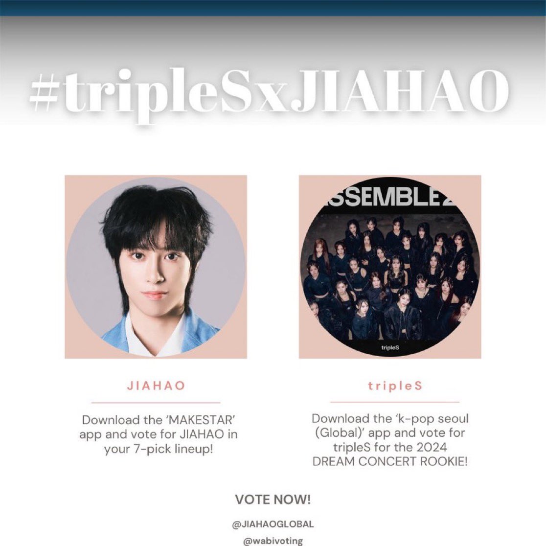 ARNOGLOBAL1's tweet photo. 🚨Attention 🚨— collaboration
 We would like to inform you of our cooperation with @wabivoting !
 
JIAYIDANs will vote for tripleS in the ‘K-POP SEOUL (Global)’ app 
and WAVEs will vote for JIAHAO!  

Use the #tripleSxJIAHAO hashtag https://t.co/k2KjuZ0FQB