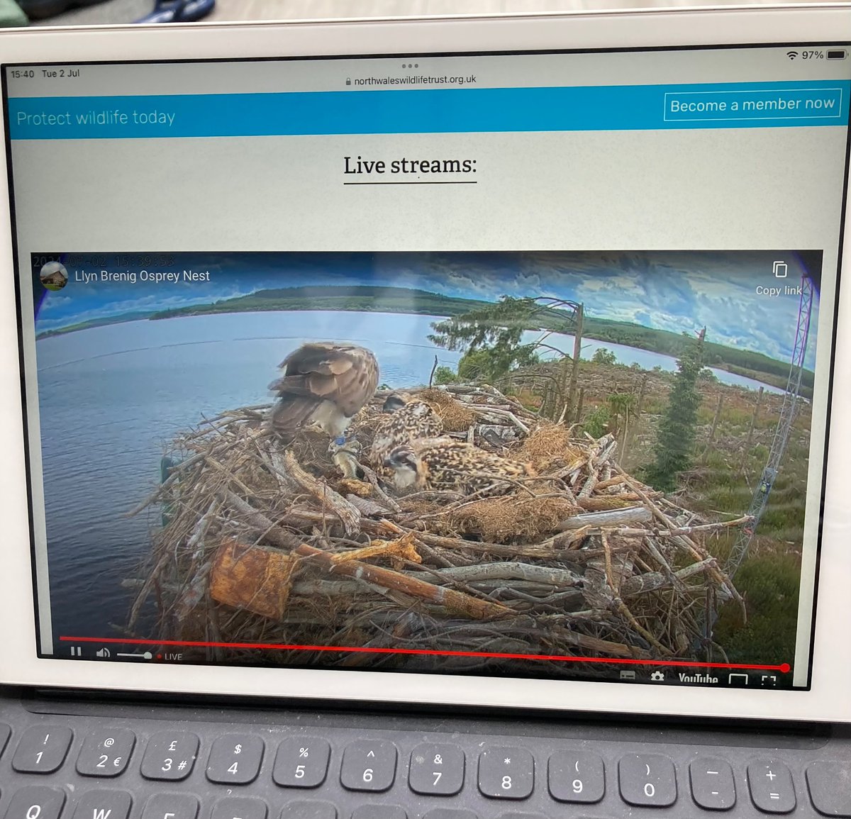 Gill Williams tweet media