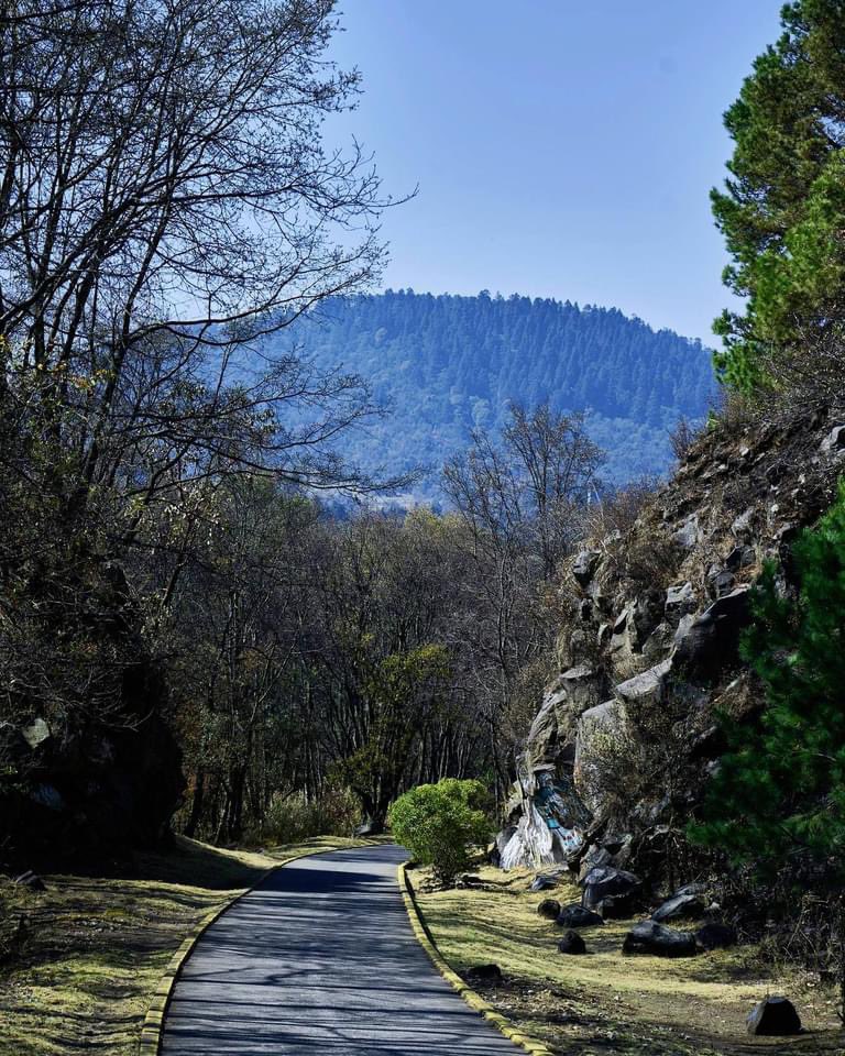 #sabíasque La Comunidad de Topilejo tiene dos Cicloestaciones:
- Estación El Sifón y 
- LaCima?
Ven y conócelas.
#BosqueCDMX 
#OrgulloTopil 
#topilejo 
#ConoceTopilejo 
#Tlalpan