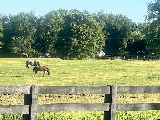 Truth_Substack's tweet image. thetruthabouteverything.com/post/the-wande…

For once The Wandering Jew isn't horsing around. In Lexington, KY anyway...