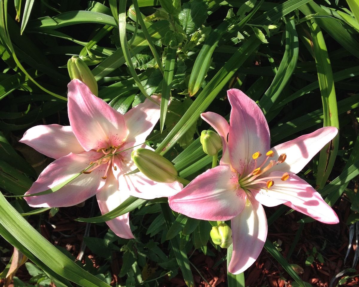 prtygal777's tweet image. 